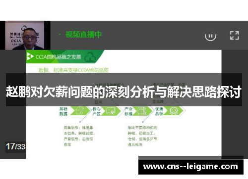 赵鹏对欠薪问题的深刻分析与解决思路探讨