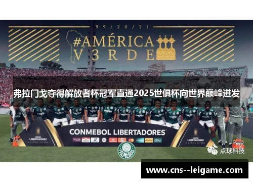 弗拉门戈夺得解放者杯冠军直通2025世俱杯向世界巅峰进发